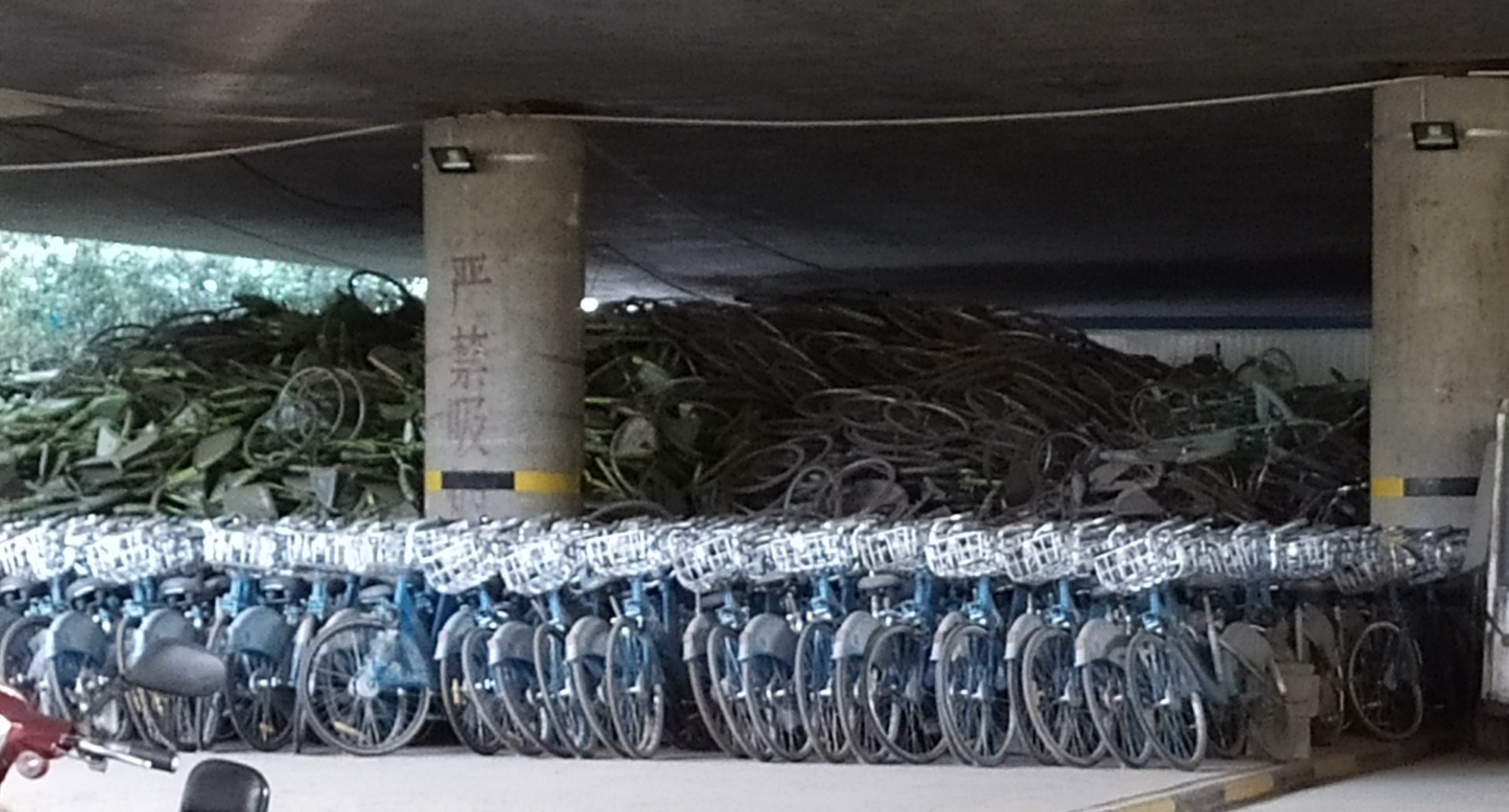 The photo portrays a large pile of abandoned bikes in China. Wuhan, China.