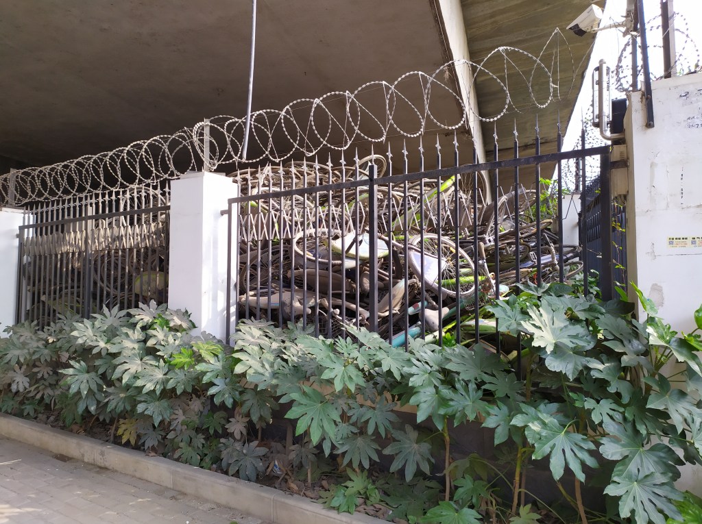 The photo is of a bike graveyard in Wuhan, China in 2019.