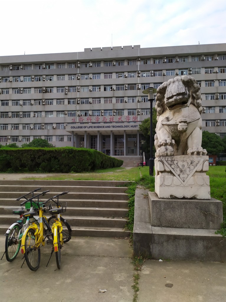 A stone food dog on the campus of Huazhong University of Science and Technology in Wuhan, China. 2019