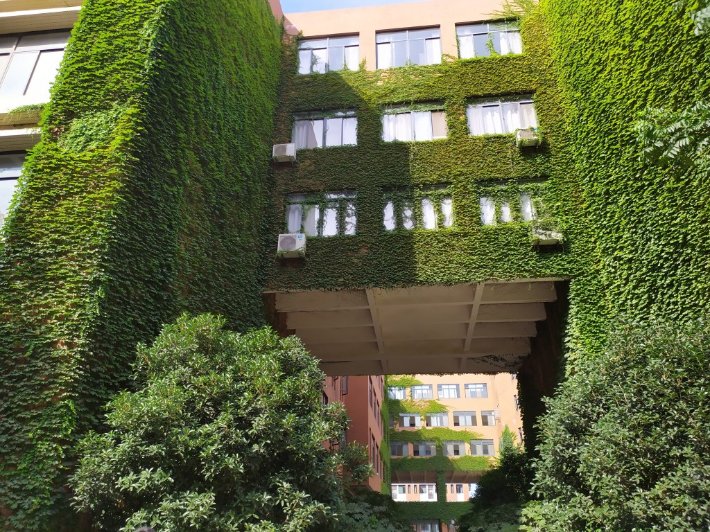 This photo depicts the ivy covered library of Wenhua College in Wuhan, China.