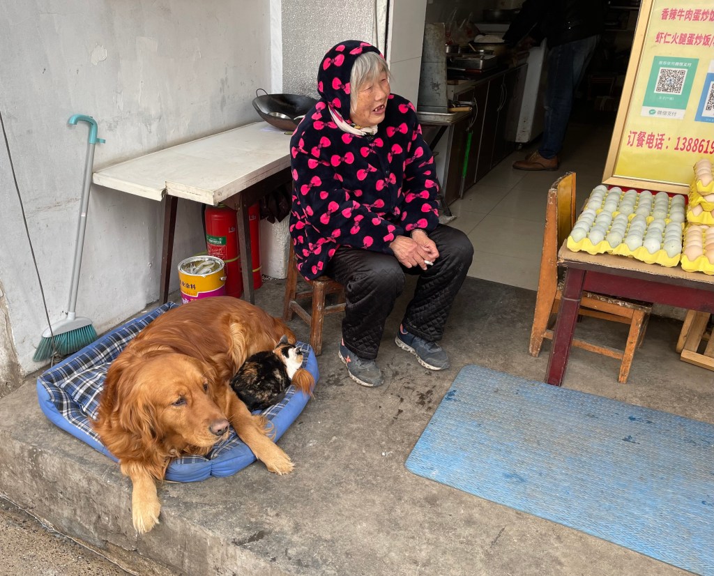 This photo shoes a woman selling eggs beside her dog and cat in Wuhan, China in 2021.