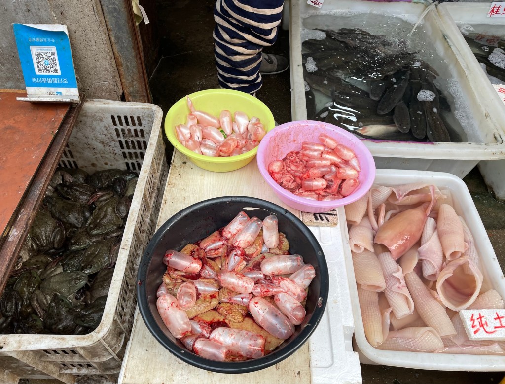 This photo shows live frogs and other interesting fish parts being sold in the streets of Wuhan, China in 2021.