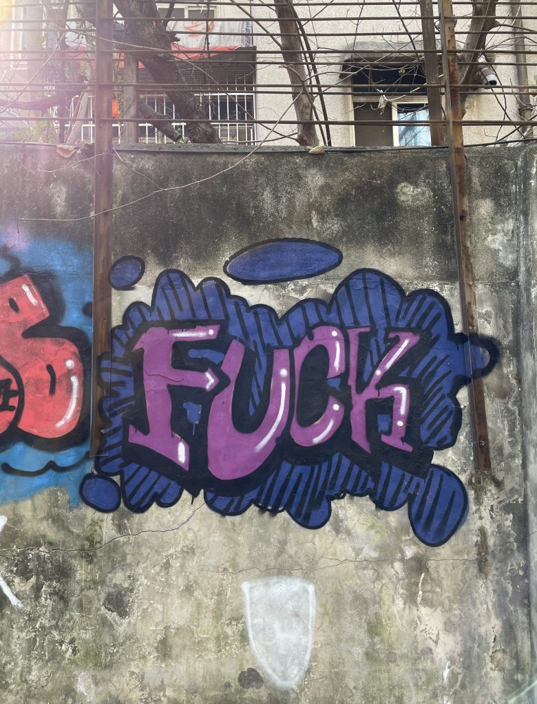 A photo depicting profane graffiti in Wuhan, China in 2021.
